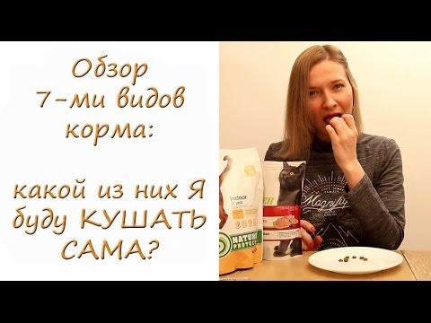 Хозяйка питомника КУШАЕТ КОШАЧИЙ КОРМ! Обзор 7 видов корма супер-премиум класса