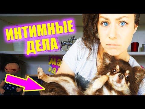 У СОБАКИ МИШИ ЭТИ ДНИ! ЧТО Я ДЕЛАЮ когда течка у собаки? ШРАМ на ЖИВОТЕ после родов Magic Family