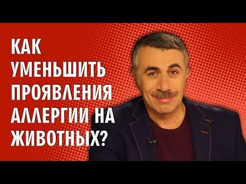 Как уменьшить проявления аллергии на животных? - Доктор Комаровский