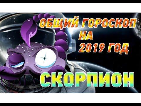 Гороскоп Скорпион на 2019 год ♏