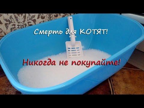 СМЕРТЬ от наполнителя!  Какой наполнитель нельзя использовать для котят