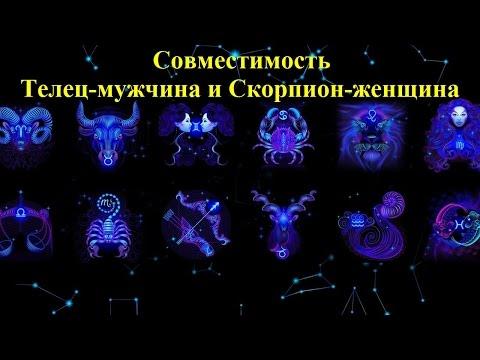 Совместимость Телец-мужчина и Скорпион-женщина