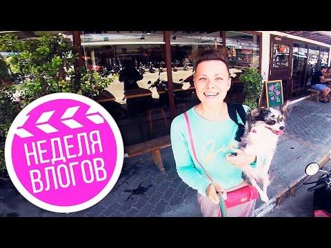 ВЛОГ Гуляем по городу, кафе, пляж | НЕДЕЛЯ ВЛОГОВ | ДЕНЬ 2  | Догмама Vlog