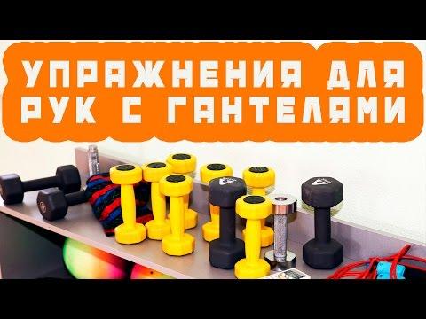 Упражнения для рук с гантелями