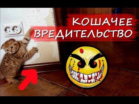 КОШАЧЕЕ ВРЕДИТЕЛЬСТВО: ободранный угол? НАШЛИ РЕШЕНИЕ!!! Когтеточка