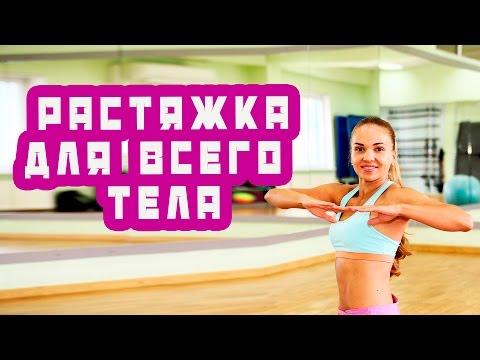 Растяжка для всего тела