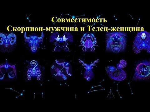 Совместимость Скорпион-мужчина и Телец-женщина