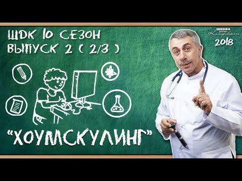 Хоумскулинг (домашнее обучение) - Доктор Комаровский