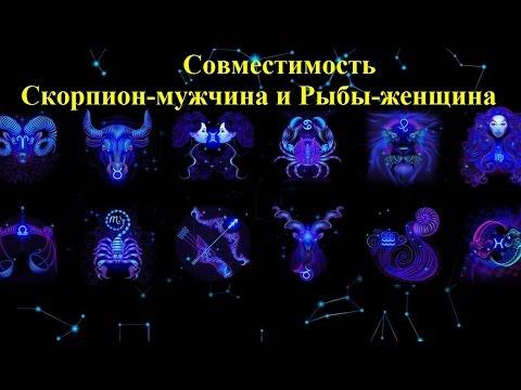 Совместимость Скорпион-мужчина и Рыбы-женщина