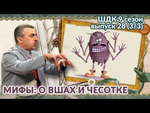 Мифы о вшах и чесотке - Доктор Комаровский