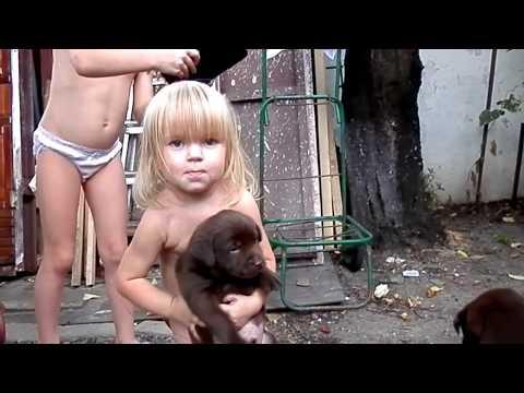 Кира и щенки. Girl Kira And Labrador Puppy. Щенки лабрадора.