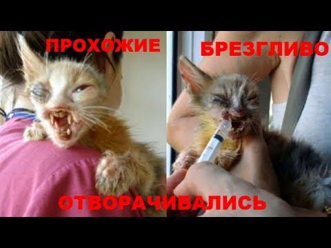 ПРОХОЖИЕ ДАЖЕ В ЕГО СТОРОНУ НЕ ХОТЕЛИ СМОТРЕТЬ, НО ОДНА МАЛЕНЬКАЯ ДЕВОЧКА ...