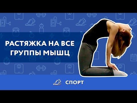 Растяжка для начинающих в домашних условиях