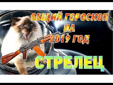 Гороскоп Стрелец на 2019 год ♐