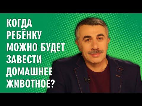 Когда ребенку можно будет завести домашнее животное? - Доктор Комаровский